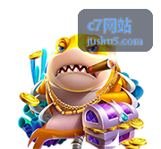 c7网站新手入门指南